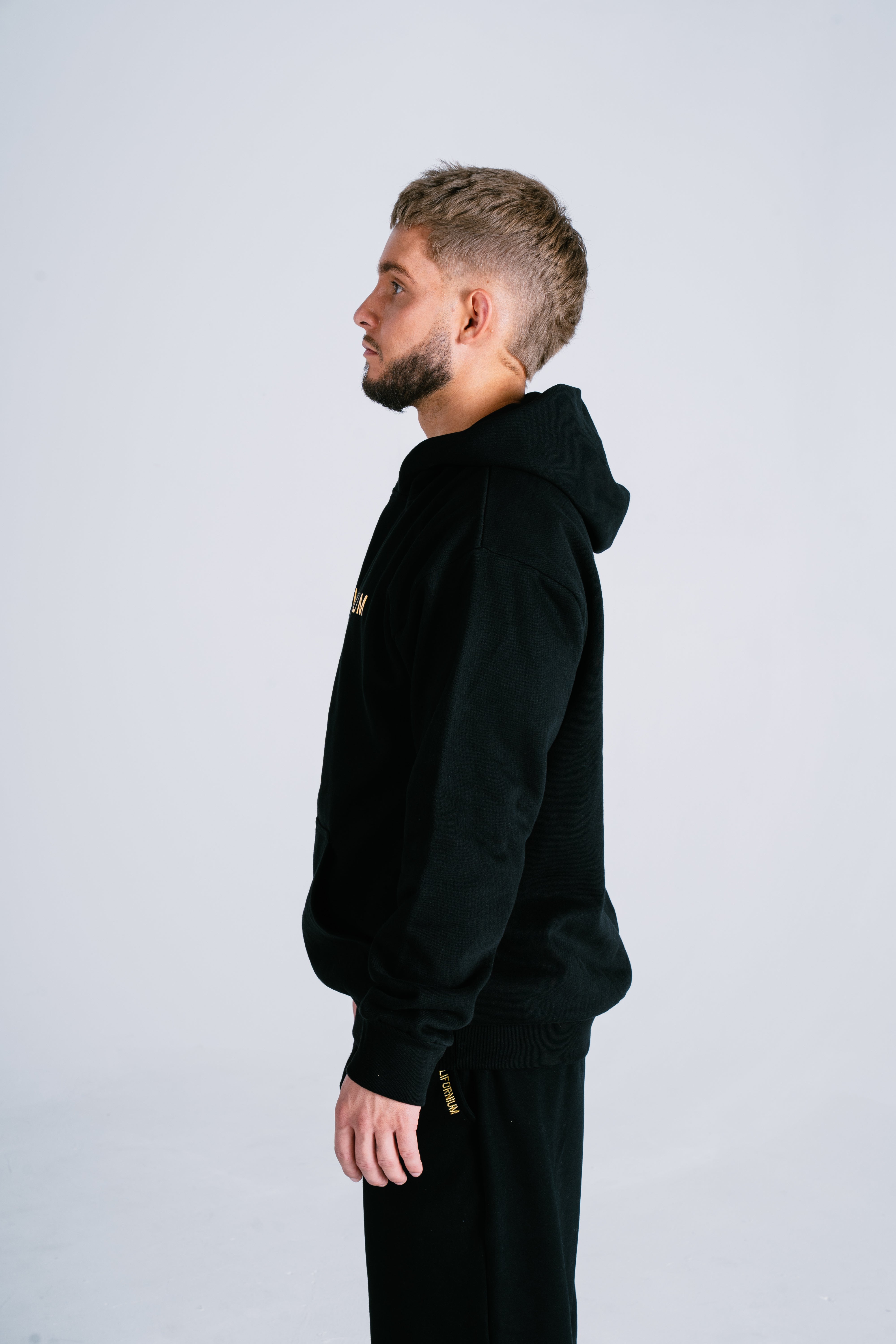 Enclave Relaxed Hoodie