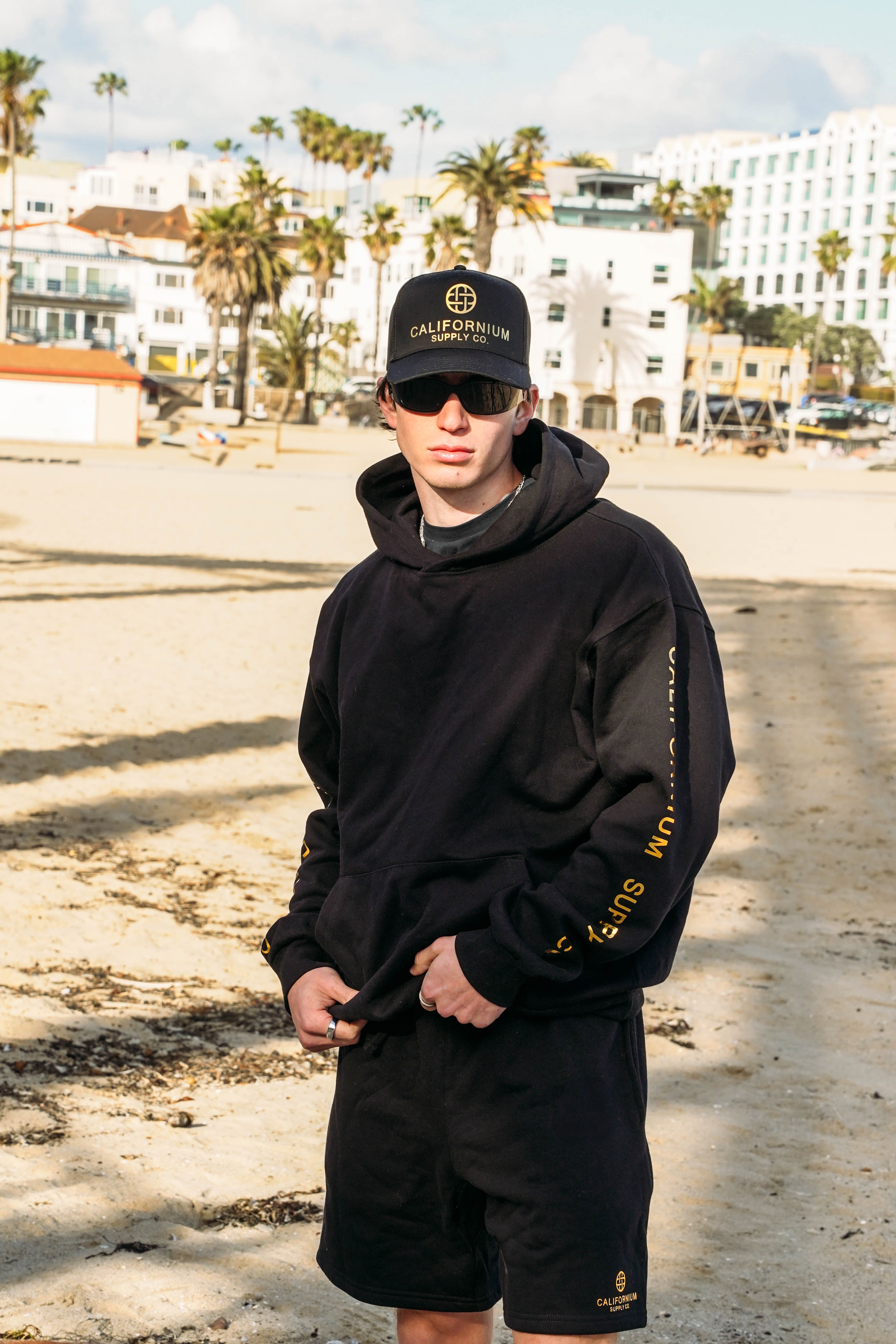 Luxe Bold Sleeve Hoodie