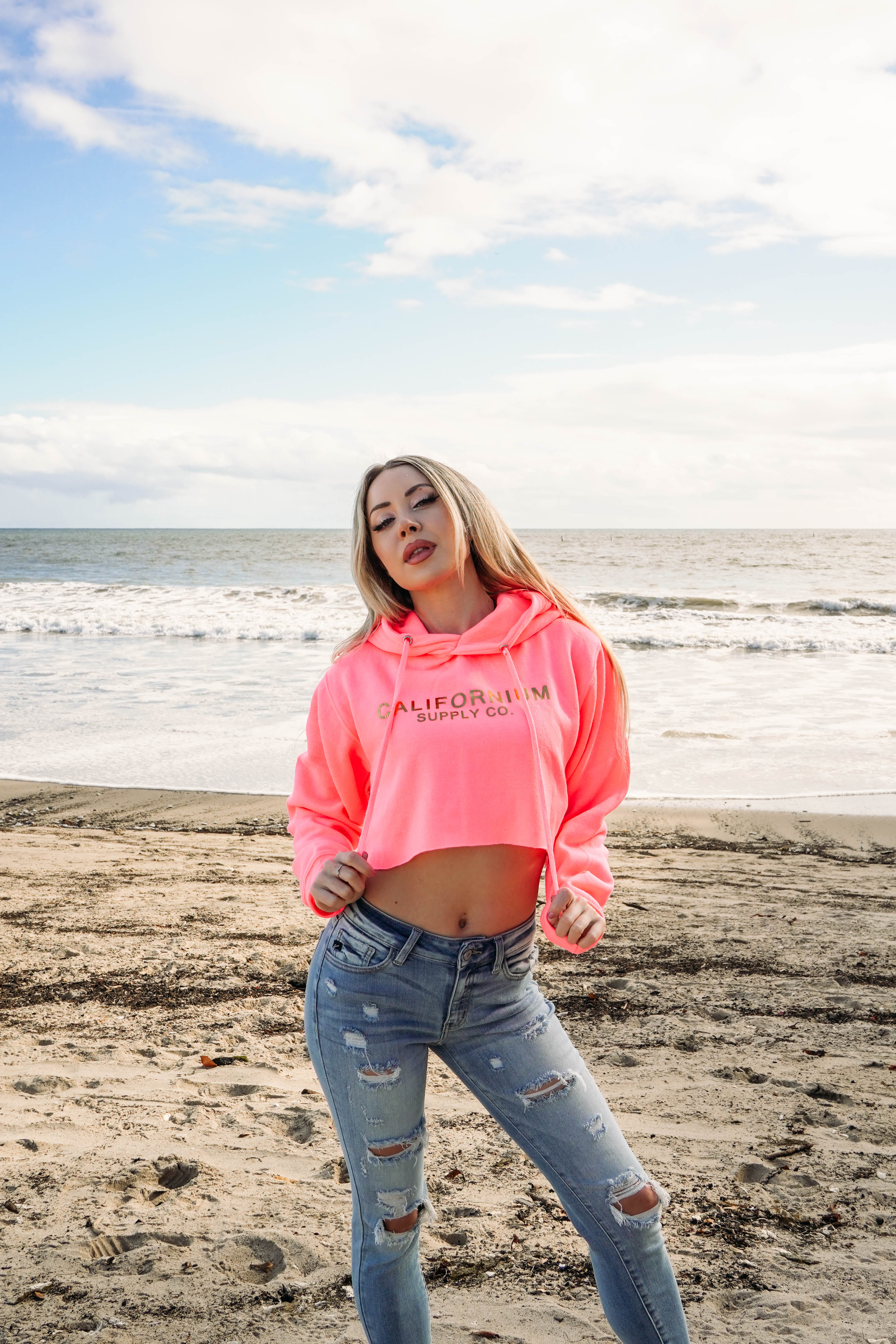 Iconic Crop Hoodie